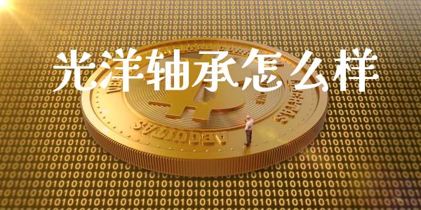 光洋轴承怎么样_https://wap.fcdydaikuan.com_金融机构_第1张