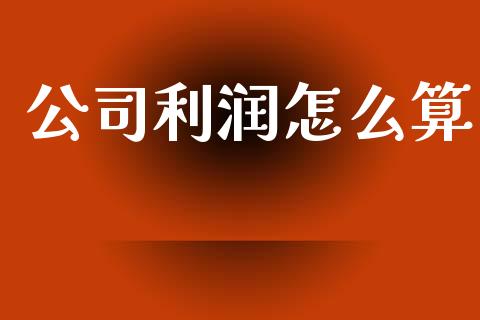 公司利润怎么算_https://wap.fcdydaikuan.com_期货品种_第1张