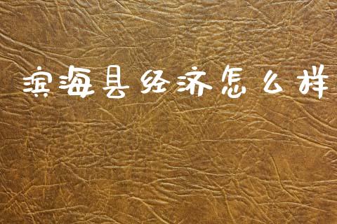 滨海县经济怎么样_https://wap.fcdydaikuan.com_国际投资_第1张