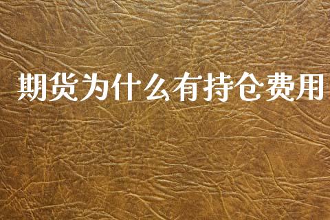 期货为什么有持仓费用_https://wap.fcdydaikuan.com_新股数据_第1张