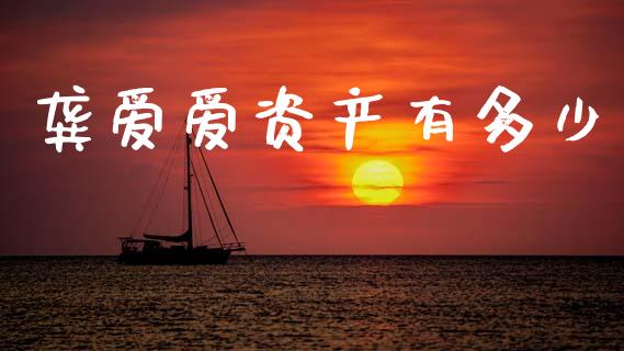 龚爱爱资产有多少_https://wap.fcdydaikuan.com_国际投资_第1张