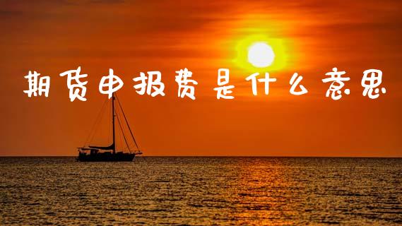 期货申报费是什么意思_https://wap.fcdydaikuan.com_期货品种_第1张