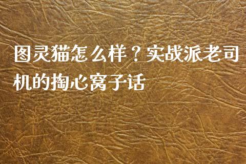 图灵猫怎么样？实战派老司机的掏心窝子话_https://wap.fcdydaikuan.com_理财顾问_第1张
