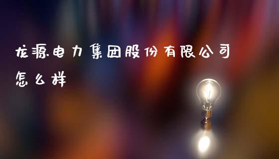 龙源电力集团股份有限公司怎么样_https://wap.fcdydaikuan.com_新股数据_第1张