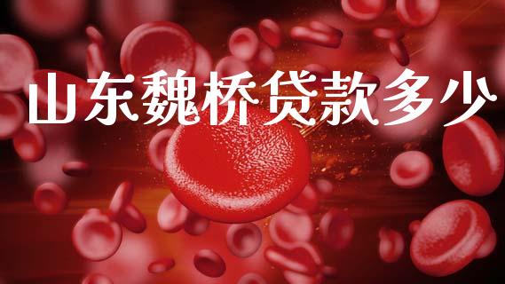 山东魏桥贷款多少_https://wap.fcdydaikuan.com_国际投资_第1张