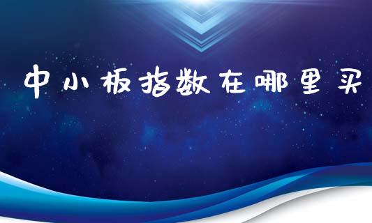 中小板指数在哪里买_https://wap.fcdydaikuan.com_国际投资_第1张