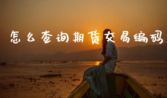 怎么查询期货交易编码_https://wap.fcdydaikuan.com_国际投资_第1张