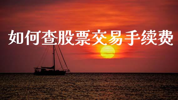 如何查股票交易手续费_https://wap.fcdydaikuan.com_投资策略_第1张