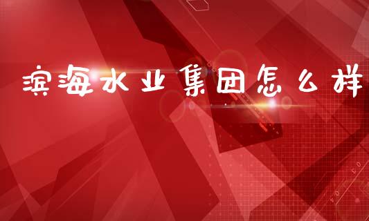 滨海水业集团怎么样_https://wap.fcdydaikuan.com_金融机构_第1张