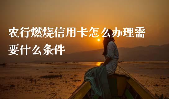 农行燃烧信用卡怎么办理需要什么条件_https://wap.fcdydaikuan.com_金融机构_第1张