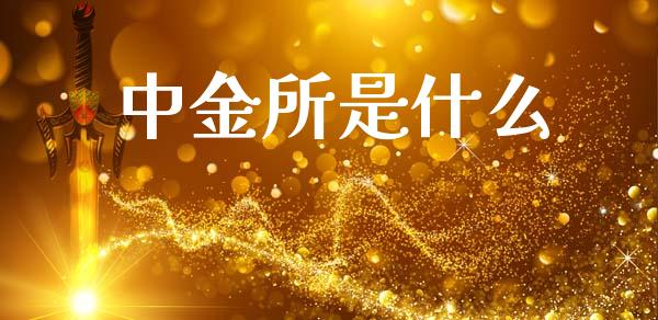 中金所是什么_https://wap.fcdydaikuan.com_投资策略_第1张