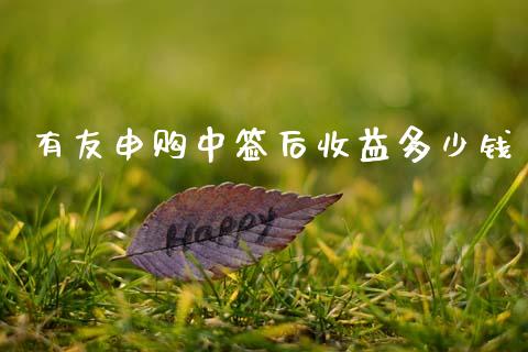 有友申购中签后收益多少钱_https://wap.fcdydaikuan.com_期货品种_第1张