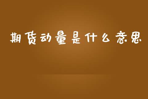 期货动量是什么意思_https://wap.fcdydaikuan.com_投资策略_第1张