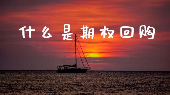 什么是期权回购_https://wap.fcdydaikuan.com_理财顾问_第1张