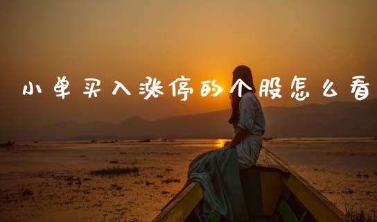 小单买入涨停的个股怎么看_https://wap.fcdydaikuan.com_国际投资_第1张