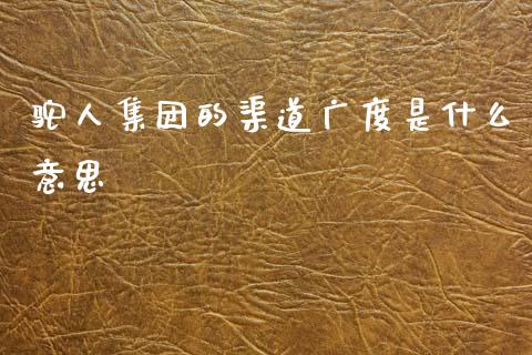 驼人集团的渠道广度是什么意思_金融机构_第1张_国际投资_理财顾问_投资策略_金融机构 驼人集团的渠道广度是什么意思_https://wap.fcdydaikuan.com_金融机构_第1张