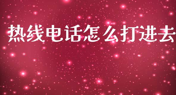 热线电话怎么打进去_https://wap.fcdydaikuan.com_理财顾问_第1张
