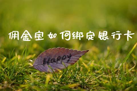 佣金宝如何绑定银行卡_https://wap.fcdydaikuan.com_理财顾问_第1张