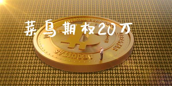 菜鸟期权20万_https://wap.fcdydaikuan.com_国际投资_第1张