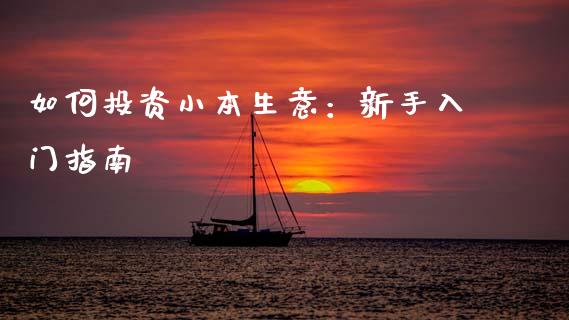 如何投资小本生意：新手入门指南_https://wap.fcdydaikuan.com_投资策略_第1张