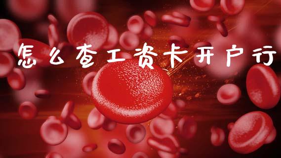 怎么查工资卡开户行_https://wap.fcdydaikuan.com_投资策略_第1张