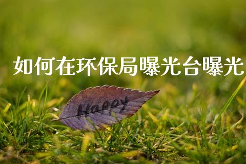 如何在环保局曝光台曝光_https://wap.fcdydaikuan.com_国际投资_第1张