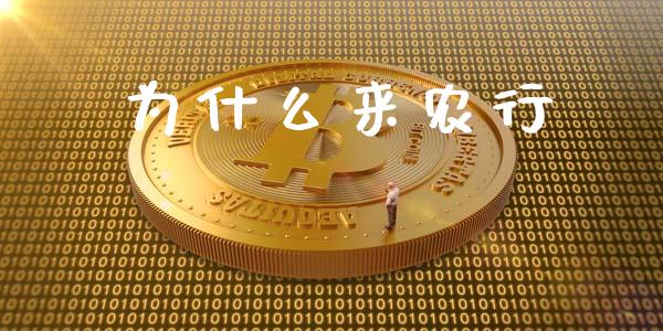 为什么来农行_https://wap.fcdydaikuan.com_金融机构_第1张