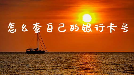怎么查自己的银行卡号_https://wap.fcdydaikuan.com_金融机构_第1张