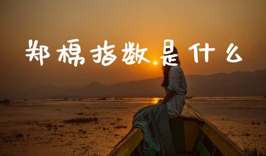 郑棉指数是什么_https://wap.fcdydaikuan.com_理财顾问_第1张