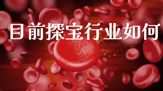 目前探宝行业如何_https://wap.fcdydaikuan.com_期货品种_第1张