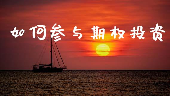 如何参与期权投资_https://wap.fcdydaikuan.com_国际投资_第1张