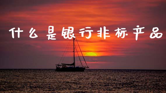 什么是银行非标产品_https://wap.fcdydaikuan.com_新股数据_第1张