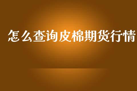 怎么查询皮棉期货行情_https://wap.fcdydaikuan.com_期货品种_第1张