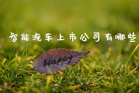 智能汽车上市公司有哪些_https://wap.fcdydaikuan.com_理财顾问_第1张