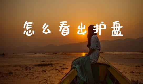 怎么看出护盘_https://wap.fcdydaikuan.com_投资策略_第1张