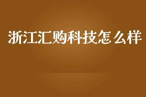 浙江汇购科技怎么样_https://wap.fcdydaikuan.com_国际投资_第1张