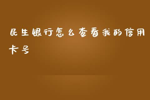 民生银行怎么查看我的信用卡号_https://wap.fcdydaikuan.com_新股数据_第1张