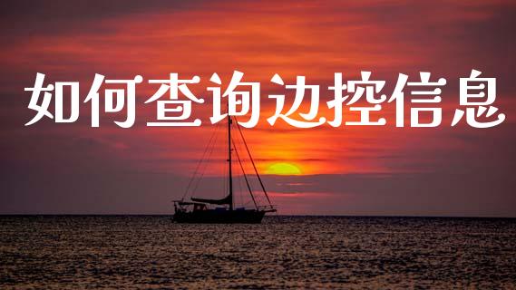 如何查询边控信息_https://wap.fcdydaikuan.com_国际投资_第1张