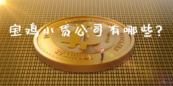 宝鸡小贷公司有哪些?_https://wap.fcdydaikuan.com_金融机构_第1张