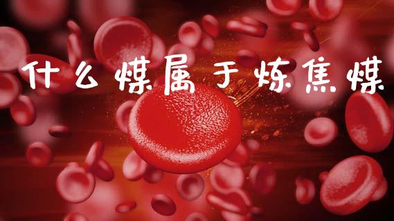什么煤属于炼焦煤_https://wap.fcdydaikuan.com_国际投资_第1张