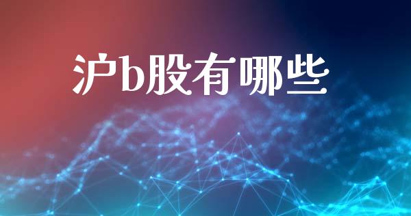 沪b股有哪些_https://wap.fcdydaikuan.com_投资策略_第1张