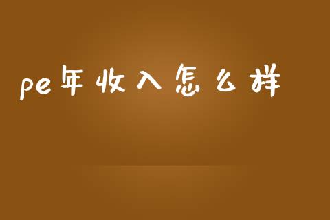 pe年收入怎么样_https://wap.fcdydaikuan.com_国际投资_第1张