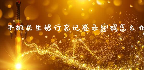 手机民生银行忘记登录密码怎么办_https://wap.fcdydaikuan.com_金融机构_第1张