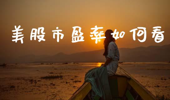 美股市盈率如何看_https://wap.fcdydaikuan.com_理财顾问_第1张