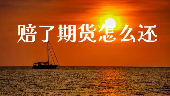 赔了期货怎么还_https://wap.fcdydaikuan.com_理财顾问_第1张