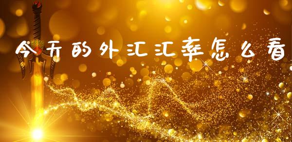 今天的外汇汇率怎么看_https://wap.fcdydaikuan.com_投资策略_第1张