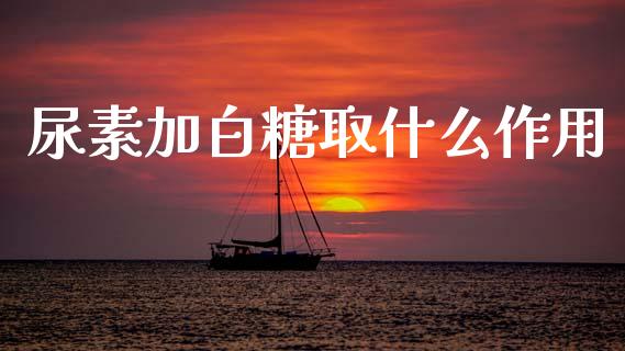 尿素加白糖取什么作用_https://wap.fcdydaikuan.com_金融机构_第1张