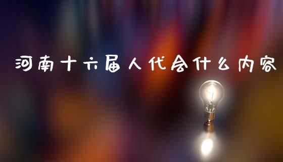 河南十六届人代会什么内容_https://wap.fcdydaikuan.com_新股数据_第1张