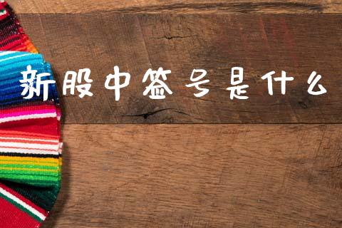 新股中签号是什么_https://wap.fcdydaikuan.com_金融机构_第1张