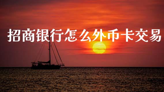 招商银行怎么外币卡交易_https://wap.fcdydaikuan.com_期货品种_第1张